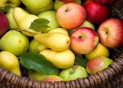میوه های سرشار از آنتی اکسیدان کدامند؟ میوه های سرشار از آنتی اکسیدان کدامند؟